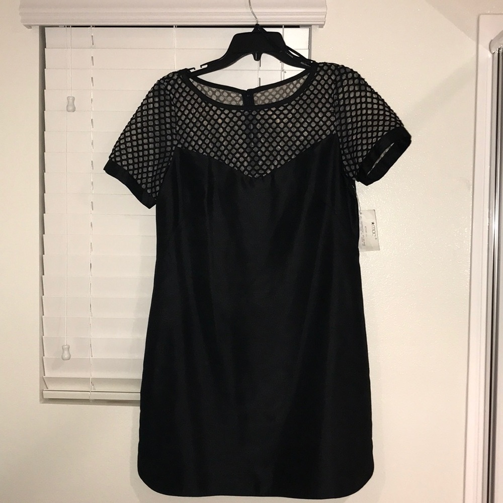 NWT sheer top dress